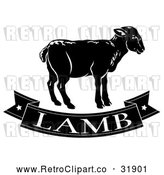 Vector Clip Art of a Retro Black and White Lamb Banner by AtStockIllustration
