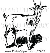 Vector Clip Art of a Retro Goat with Small Horns by Prawny Vintage