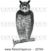 Vector Clip Art of a Retro Owl Resting on Branch by Prawny Vintage