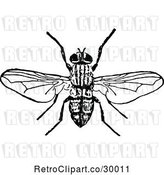 Vector Clip Art of Bee 1 by Prawny Vintage