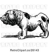 Vector Clip Art of Bulldog by Prawny Vintage