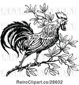 Vector Clip Art of Crowing Rooster in a Tree by Prawny Vintage