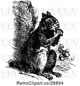 Vector Clip Art of Eating Squirrel by Prawny Vintage