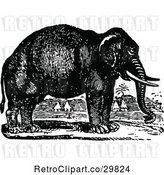 Vector Clip Art of Elephant in a Village by Prawny Vintage