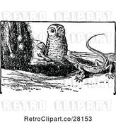 Vector Clip Art of Owl and Lizard by Prawny Vintage