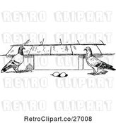 Vector Clip Art of Pigeons and Eggs by Prawny Vintage