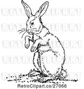 Vector Clip Art of Rabbit by Prawny Vintage