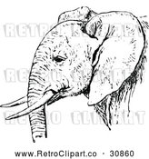 Vector Clip Art of Retro African Elephant by Prawny Vintage