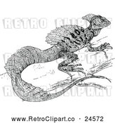 Vector Clip Art of Retro Basiliscus Americanus Iguana by Prawny Vintage