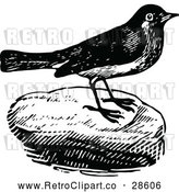 Vector Clip Art of Retro Bird on a Rock by Prawny Vintage