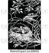 Vector Clip Art of Retro Bird over Its Chicks in a Nest by Prawny Vintage