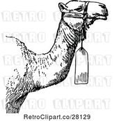 Vector Clip Art of Retro Camel with a Tag by Prawny Vintage