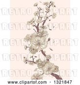 Vector Clip Art of Retro Cherry Blossom Branch on Pastel Pink by BNP Design Studio
