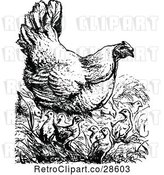 Vector Clip Art of Retro Chicken with Chicks by Prawny Vintage