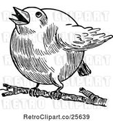 Vector Clip Art of Retro Chubby Robin Bird by Prawny Vintage