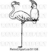 Vector Clip Art of Retro Cockatoo Perched on a Flamingos Leg by Prawny Vintage