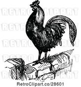 Vector Clip Art of Retro Crowing Rooster on a Wall by Prawny Vintage