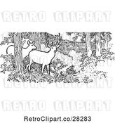 Vector Clip Art of Retro Deer in the Woods by Prawny Vintage