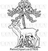 Vector Clip Art of Retro Deer Under a Tree by Prawny Vintage