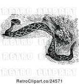 Vector Clip Art of Retro Diamond Rattlesnake and Copyspace by Prawny Vintage