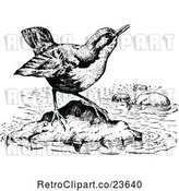Vector Clip Art of Retro Dipper Bird by Prawny Vintage