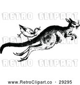 Vector Clip Art of Retro Duck Riding a Kangaroo by Prawny Vintage