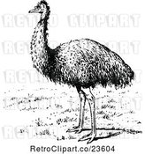 Vector Clip Art of Retro Emu Bird by Prawny Vintage