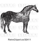 Vector Clip Art of Retro Engraved Horse in by Picsburg