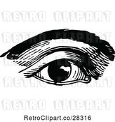 Vector Clip Art of Retro Eye and Brow by Prawny Vintage