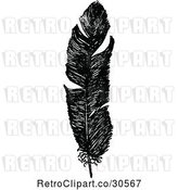 Vector Clip Art of Retro Feather by Prawny Vintage