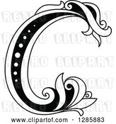 Vector Clip Art of Retro Floral Capital Letter C by Vector Tradition SM