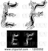 Vector Clip Art of Retro Floral Letters E and F 2 by Vector Tradition SM