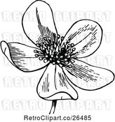 Vector Clip Art of Retro Flower by Prawny Vintage
