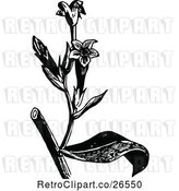 Vector Clip Art of Retro Flowering Plant 3 by Prawny Vintage