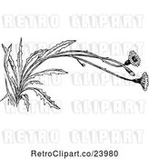Vector Clip Art of Retro Flowering Weed by Prawny Vintage