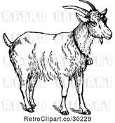 Vector Clip Art of Retro Goat Wearing a Bell by Prawny Vintage