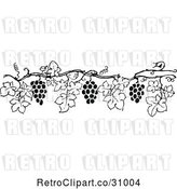 Vector Clip Art of Retro Grape Vine Border 6 by Prawny Vintage
