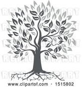 Vector Clip Art of Retro Grayscale Oak Tree with Roots and Leaves by Patrimonio