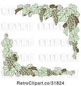Vector Clip Art of Retro Green Grape Vine Corner Borders by AtStockIllustration
