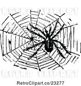 Vector Clip Art of Retro Hairy Spider and Web by Prawny Vintage