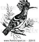 Vector Clip Art of Retro Hoopoe Bird by Prawny Vintage