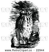 Vector Clip Art of Retro Horned Owl in the Night by Prawny Vintage