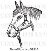 Vector Clip Art of Retro Horse with Good Form for a Halter of in by Picsburg