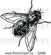 Vector Clip Art of Retro House Fly by Prawny Vintage