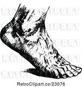 Vector Clip Art of Retro Human Foot 2 by Prawny Vintage