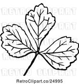 Vector Clip Art of Retro Leaf by Prawny Vintage