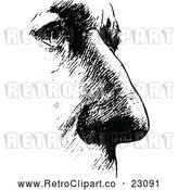 Vector Clip Art of Retro Mans Nose 2 by Prawny Vintage