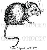Vector Clip Art of Retro Mouse by Prawny Vintage