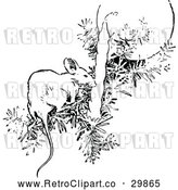 Vector Clip Art of Retro Mouse on a Christmas Tree Branch by Prawny Vintage