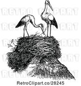 Vector Clip Art of Retro Nest and Herons by Prawny Vintage